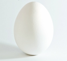 Egg whites good for hair growth?