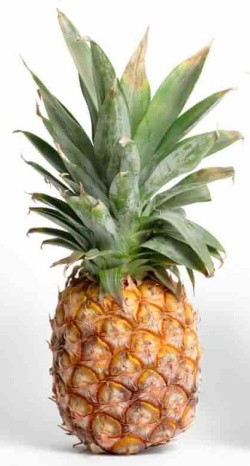 Pineapple and Papaya Hair Loss